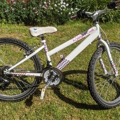 Raleigh Krush 24" girls bicycle