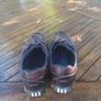 Adidas golf shoes Size 11 Image 4