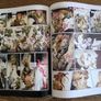 Polish Children's Comic Book, Age 9+ Image 8