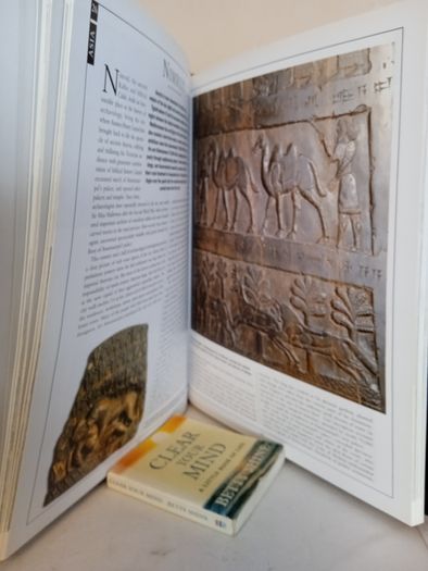Lost Cities: 50 Discoveries in World Archaeology by Paul G. Bahn (GT449)