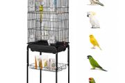 Large Bird Cage 62 Inch with Rolling Stand &amp; Tray