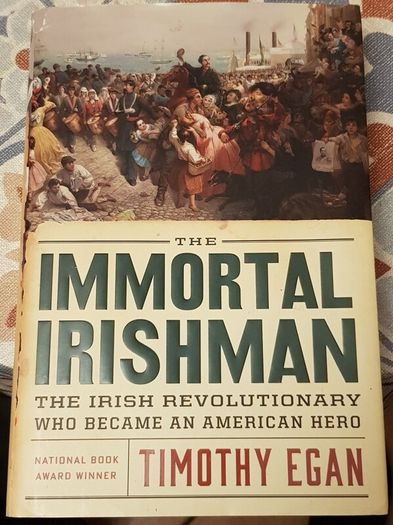 The Immortal Irishman: The Irish Revolutionary Who Became An American Hero by Timothy Egan