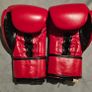 Cleto Reyes Boxing Gloves Image 4
