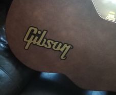 Gibson case