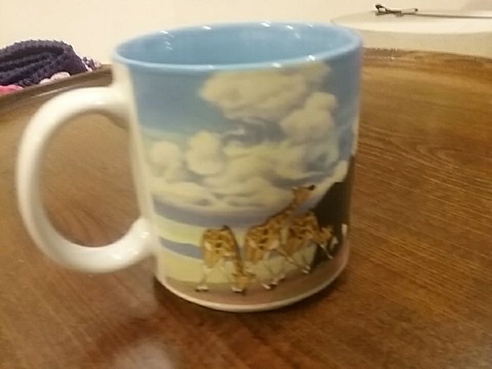lion king mug