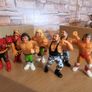 WWF Hasbros Image 3