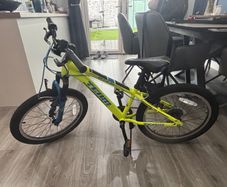 kids 20" bike