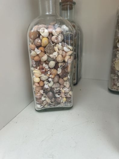 Sea shells in bottles