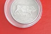 Irish shilling coin in case
