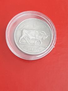 Irish shilling coin in case