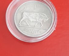 Irish shilling coin in case