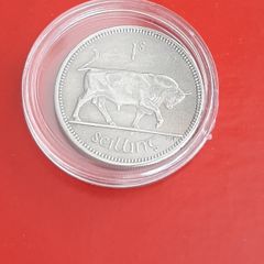 Irish shilling coin in case