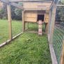 Chicken coop Image 4
