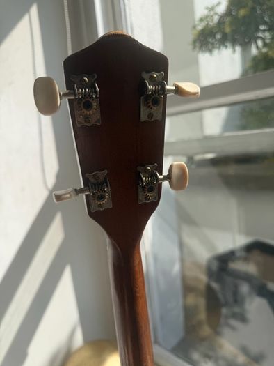 Kay banjo