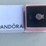 Pandora Reflexion Charm - Brand new Image 6