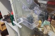 Bird feeders for windows
