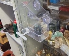Bird feeders for windows