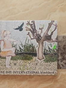 One Day International CD - Blackbird