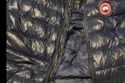 canada goose gilet