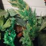 Decorations for Fish Tank Image 2