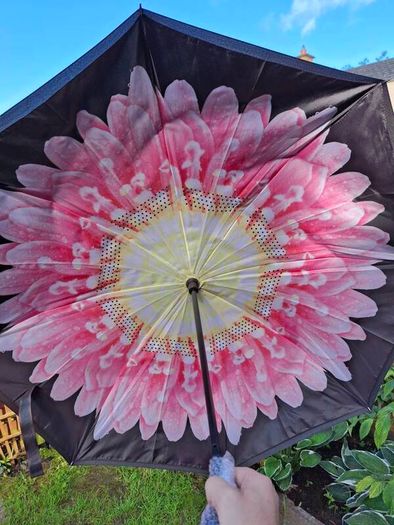 Reversal umbrella