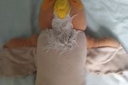 soft toy