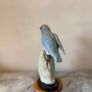 Hand-Carved Blue Chalcedony Songbird on Natural Amazonite Matrix Base Image 6