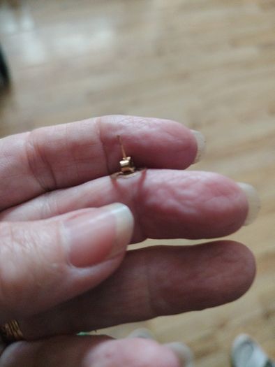 gold earrings