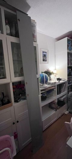 IKEA mirror door for wardrobe - includes hinges