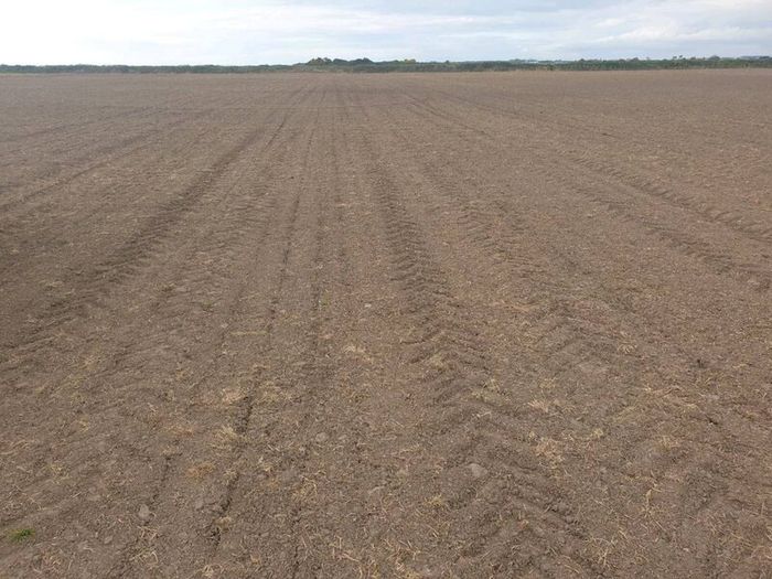 Seed Drill
