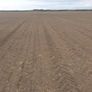 Seed Drill Image 2