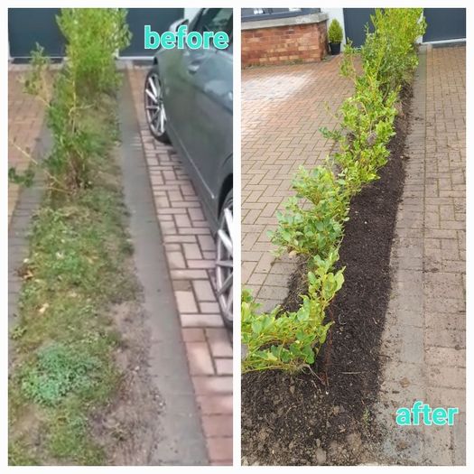 Garden maintenance