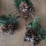 Christmas pine cone clusters Image 5