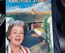 Monica Carrs Country Diary