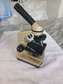 Microscope