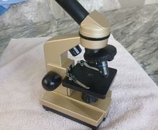 Microscope