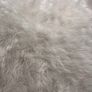 rug Image 3