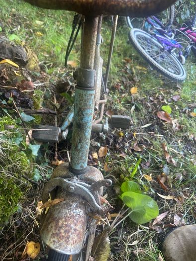 Vintage Raleigh Budgie