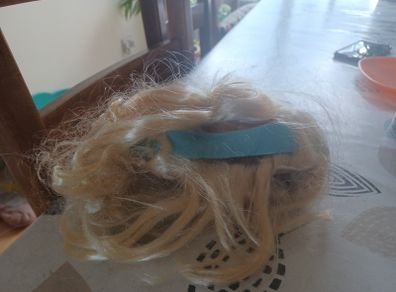 Disney Belle wig