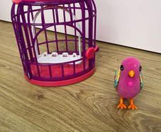 Little Live Pets - Bird