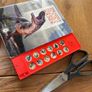 Dinosaur bundle- electronic Dino included and figures Image 7
