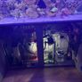 AquaOne ReefSys 325 Marine tank for sale Image 8