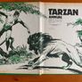 Comic: 'Tarzan' annual 1974 Image 2