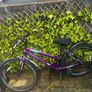 bike and helmet Image 8
