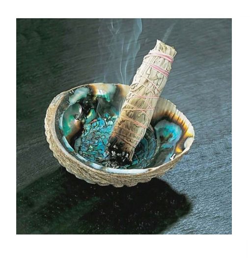 Beautiful Abalone Shell - excellent incense burner base