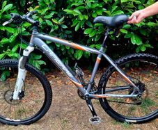 Lapierre Tecnic Adult Mountain Bike