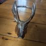 Stag wine bottle holder Image 4