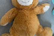teddy