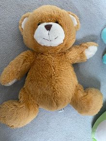 teddy