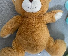 teddy